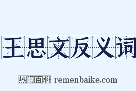 王思文反义词是什么意思的图片